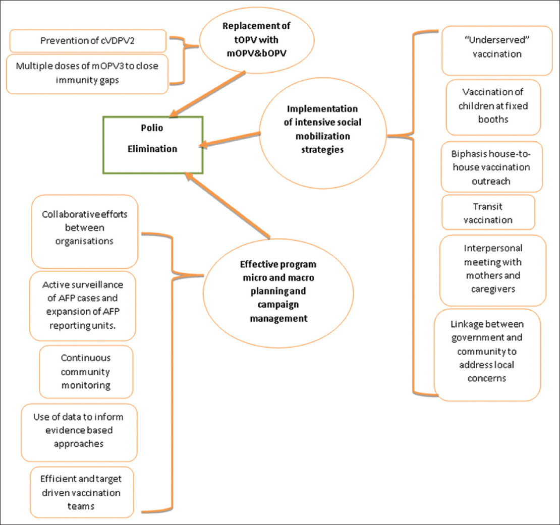 A mind map showing the factors that contributed to the successful elimination of polio in India