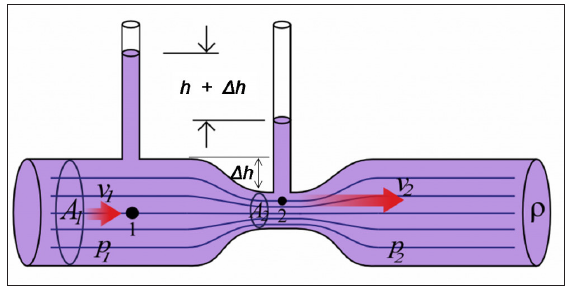 Diagram illustrating the Venturi effect. A1: External nasal valve, A2: Internal nasal valve, 1: Nasal cavity below the INV, 2: Area around the INV, ∆h: Height of the nasal cavity, h: Height of the paranasal sinuses, P1, P2: Pressure at position, P: Density of air, v1: Slower air velocity where nasal cavity was wider, v2: Faster air velocity where internal nasal valves are narrowest part of air passage. This Venturi effect suctions out particulate-laden mucus from the nasal cavities, sinuses, nasolacrimal ducts, and Eustachian tubes. (Image Credit: Diagram illustrating the Venturi effect (https://commons.wikimedia.org/wiki/File:Venturi5.svg] by HappyApple, 2003. Public Domain).