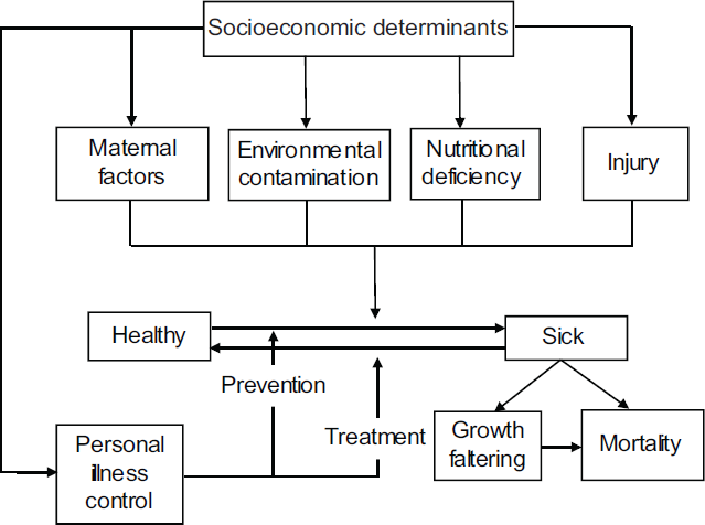 Proximate determinants of child survival Source: Adapted from Mosley and Chen, 1984