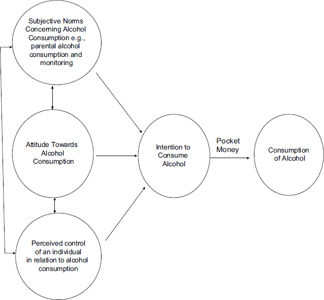 A Conceptual Frame Work of how Attitude, Parental monitoring, Parental Alcohol Consumption, and Pocket money is Related to Alcohol Consumption of Adolescents