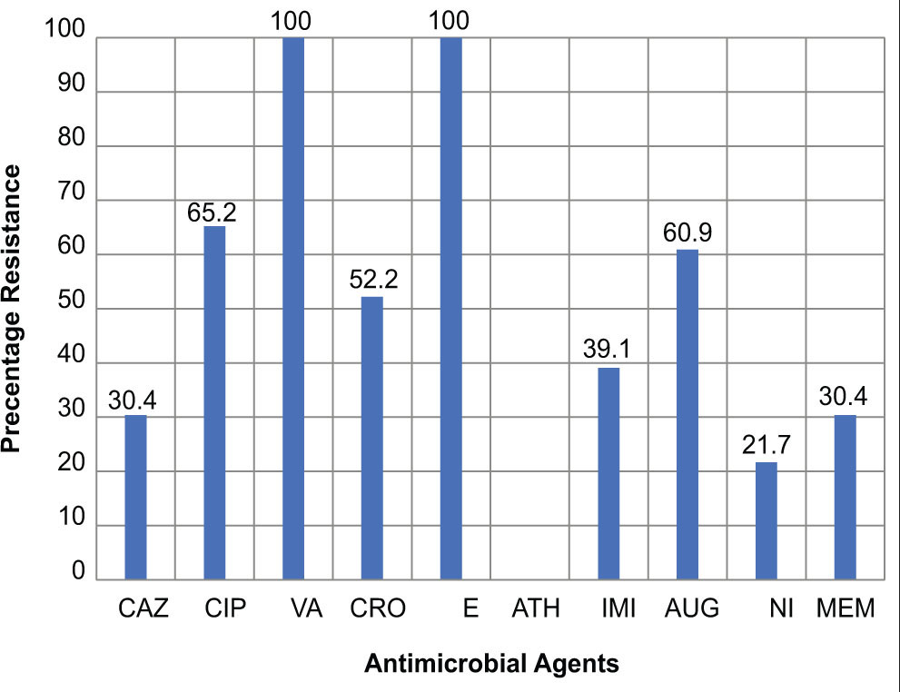 Antimicrobial resistance pattern. CAZ: Ceftazidime, CIP: Ciprofloxacin, VA: Vancomycin, CRO: Ceftriaxone, E: Erythromycin, ATH: Azithromycin, IMI: Imipenem, AUG: Augmentin, NI: : Nitrofuratoin, MEM: Meropenem