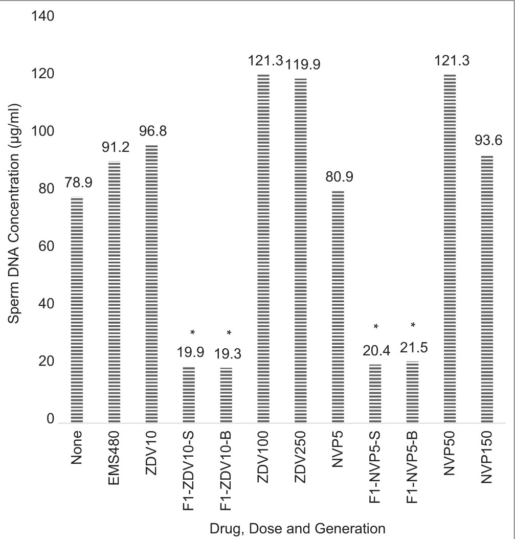 Median sperm deoxyribonucleic acid quantity for the parental and F1 generation males after 8 weeks of drug administration. ZDV: Zidovudine, NVP: Nevirapine, EMS: Ethyl methyl sulfonate (1-time 480 mg/kg), –S: F1 Progeny from “father- only” treated group, –B: F1 Progeny from “both-parents” treated group. *p < 0.05 and significantly different.
