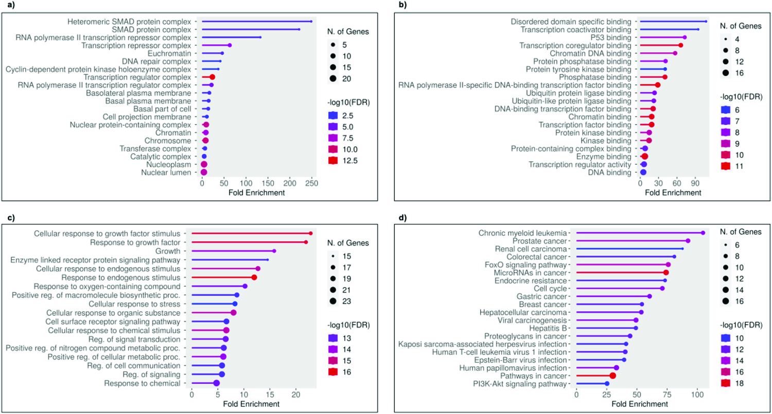 Top 23 GO terms and KEGG pathways associated with <em>P. longum</em> and breast cancer. (a) Cellular Components, (b) Molecular Functions, (c) Biological Processes, and (d) KEGG pathway.