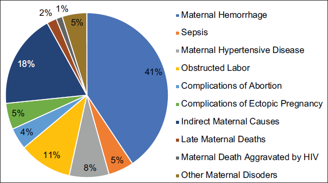 Percentage of Maternal Deaths by Causes in Nigeria, 2017