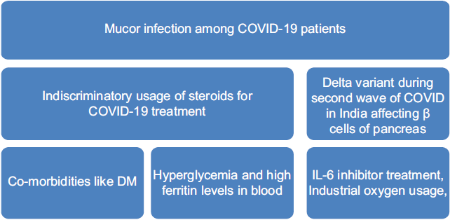 Factors Associated with Mucormycosis Occurrence Among COVID-19 Patients