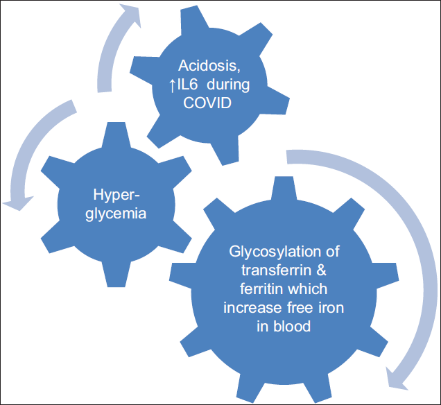 COVID-19 Induced Hyperglycemia and the Resulting Increase in Ferritin Levels