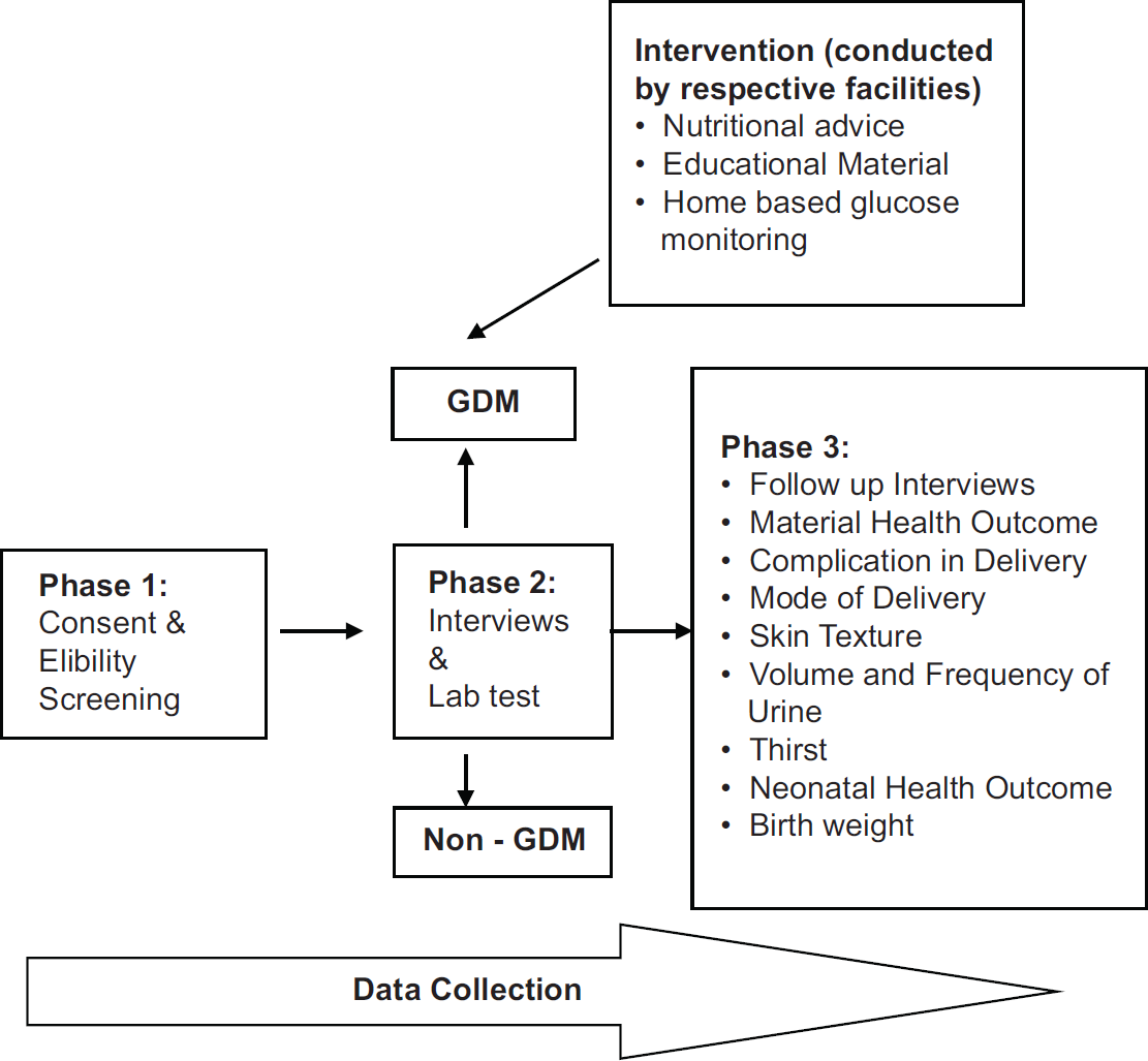 Methodological diagram